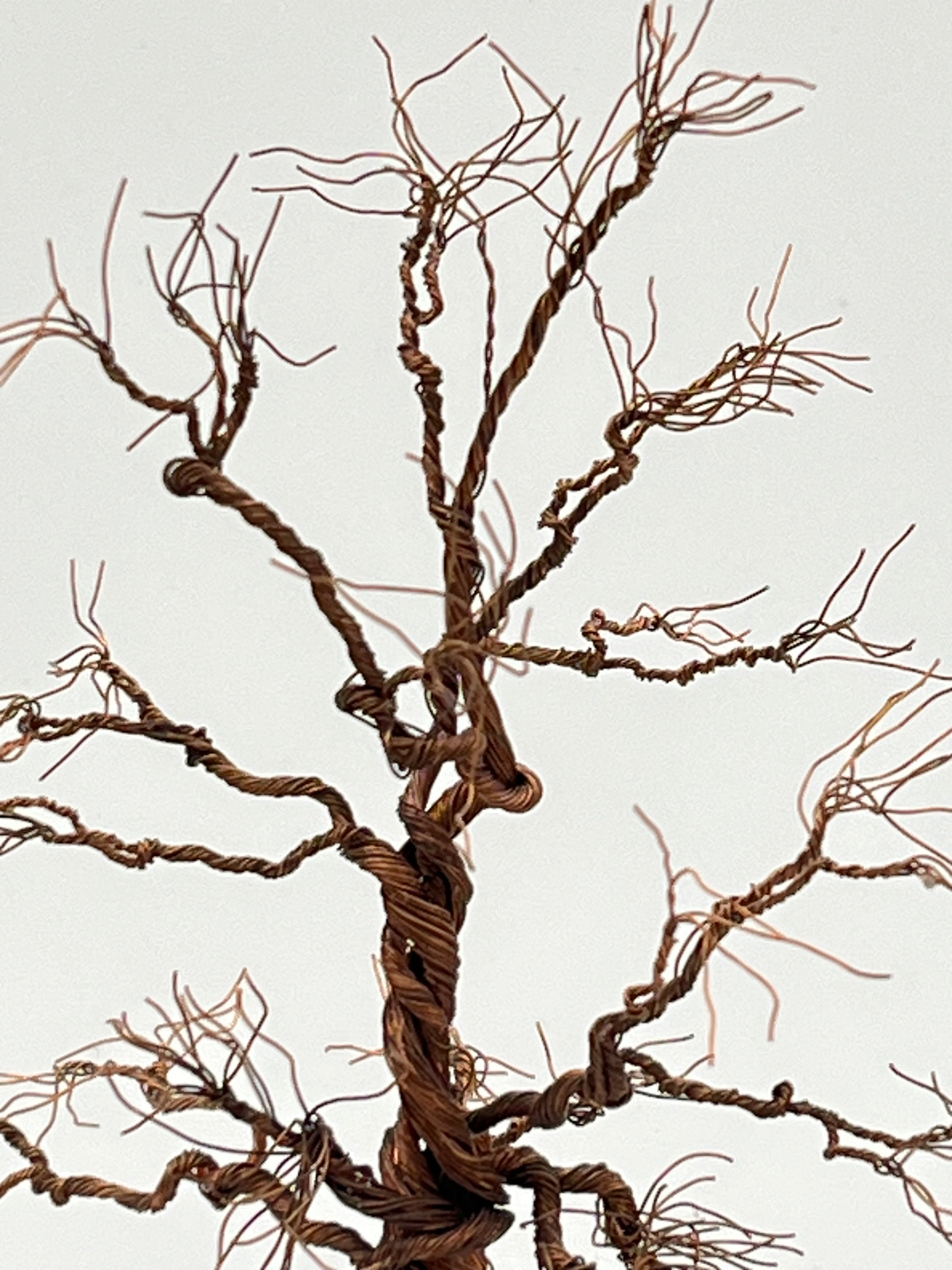 Single Handcrafted miniature copper wire tree on natural bark (RRT001)