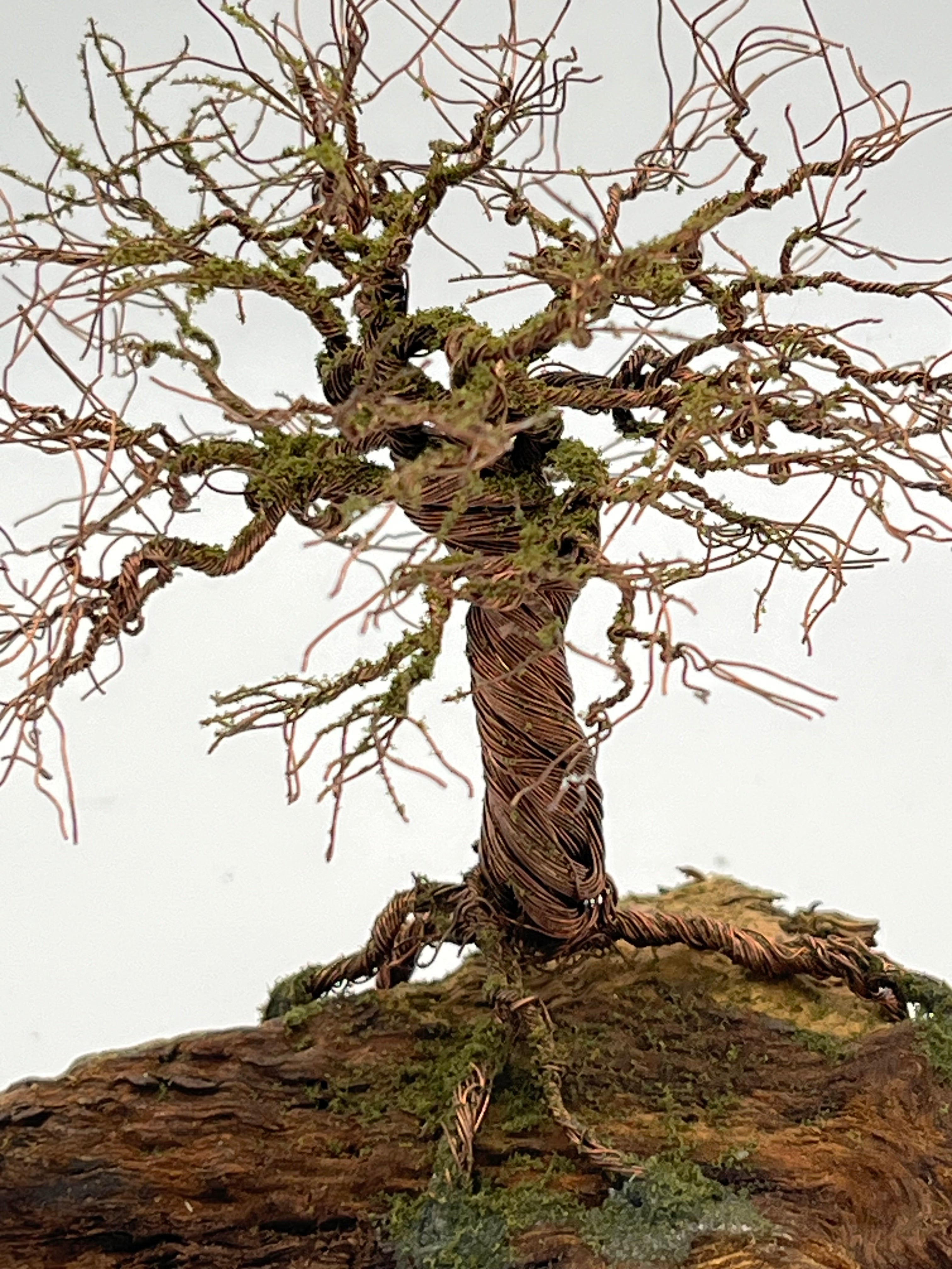 Single Handcrafted miniature copper wire tree by the water on natural bark (RRT010)