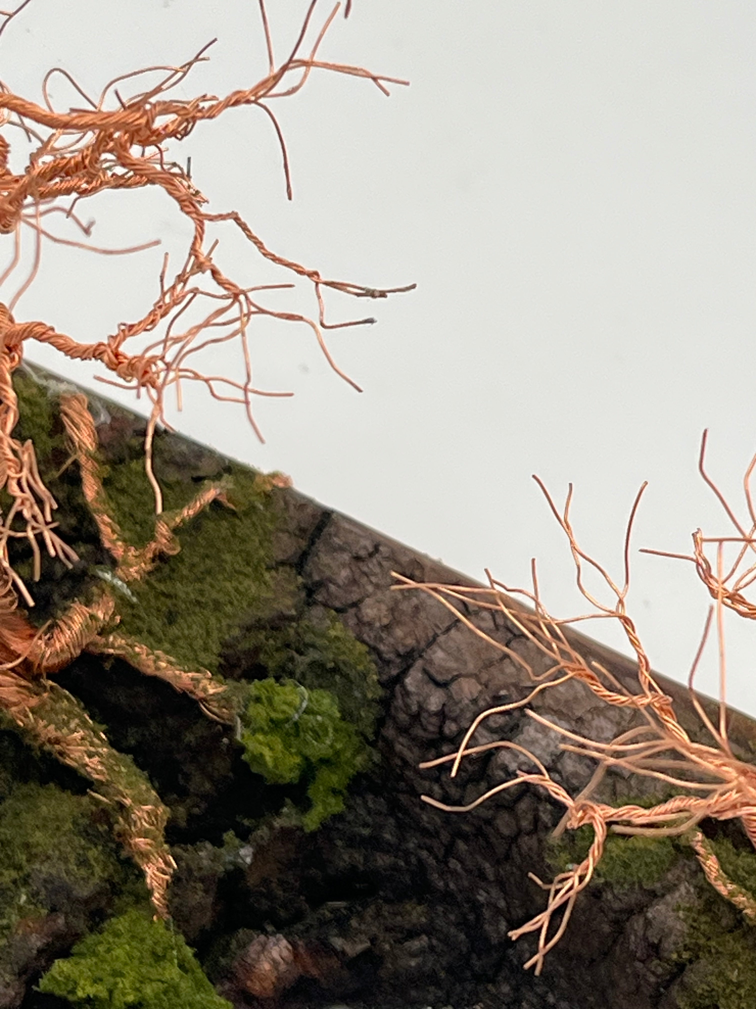 Pair of  Handcrafted Copper Wire Trees on natural bark (RRT014)